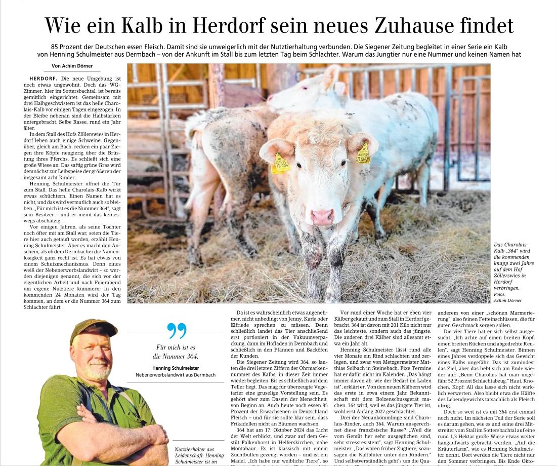 SZ Serie von einem Kalb
